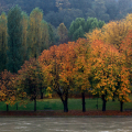 0811_autunno_2583