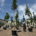 14 luglio - Boscovittorio