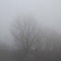 La nebbia sopra il Po