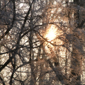 L\'alba
