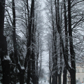 Parco della Tesoriera