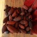 Semi di cacao