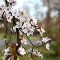 2103_primavera_2323