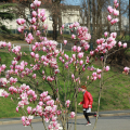 2103_primavera_2350