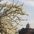 2103_primavera_2359
