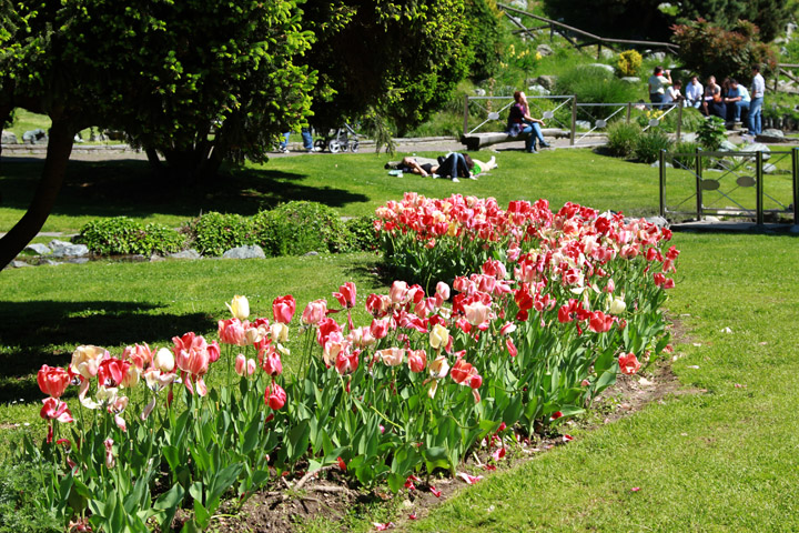 Giardino roccioso, Parco del Valentino