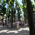 0506_montebello_3134