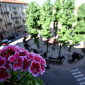 0506_montebello_3175