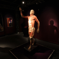2809_humanbody_6222