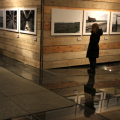 Palazzo Madama: Fotografie dal Campo. Auschwitz-Birkenau 2012