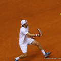 Paolo Lorenzi