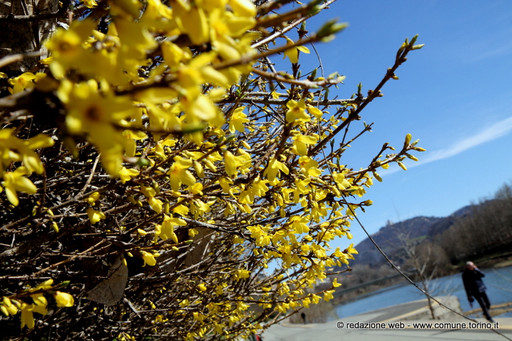 Accenni di primavera