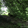 2105_spazpubb_1149