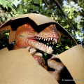 Uova di velociraptor
