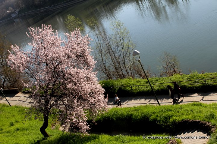 Ore 17.57 si compie l'equinozio. È primavera