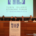 TIEF 2014