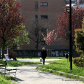 Giardino Carlo Montù