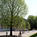 img_7801