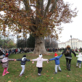 Festa dell’Albero, celebrazioni alla Tesoriera