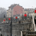 Gli stendardi olimpici in corso Cairoli