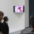 ‘Bushi. Ninja e Samurai’ al MAO fino al 29 maggio