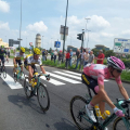 La maglia rosa