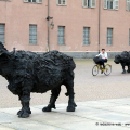Bufale Mediterranee, Davide Rivalta - Palazzo Reale