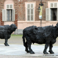 Bufale Mediterranee, Davide Rivalta - Palazzo Reale