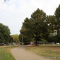 Giardino Ferrarotti