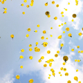 Il lancio dei palloncini