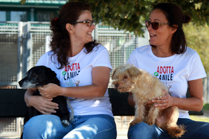 Cerchi un nuovo amico? “Adotta al canile”
