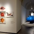 IMG_0535-copia