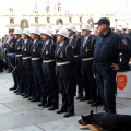 IMG_8846-copia