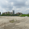 P1020454