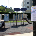 pla_6598