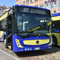 AMA_6941