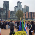 immigraz_cittagora_3