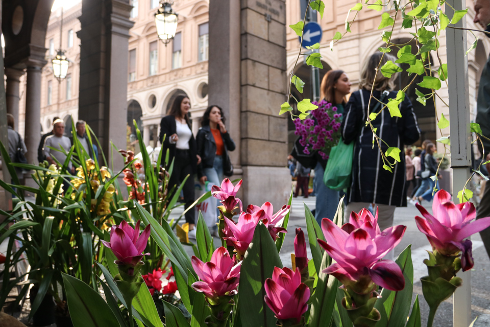 Flor Autunno 2019