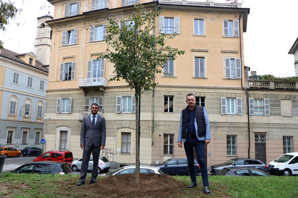 Ai Giardini Cavour un tiglio in ricordo di Gandhi, dono del Consolato Generale dell’India di Milano