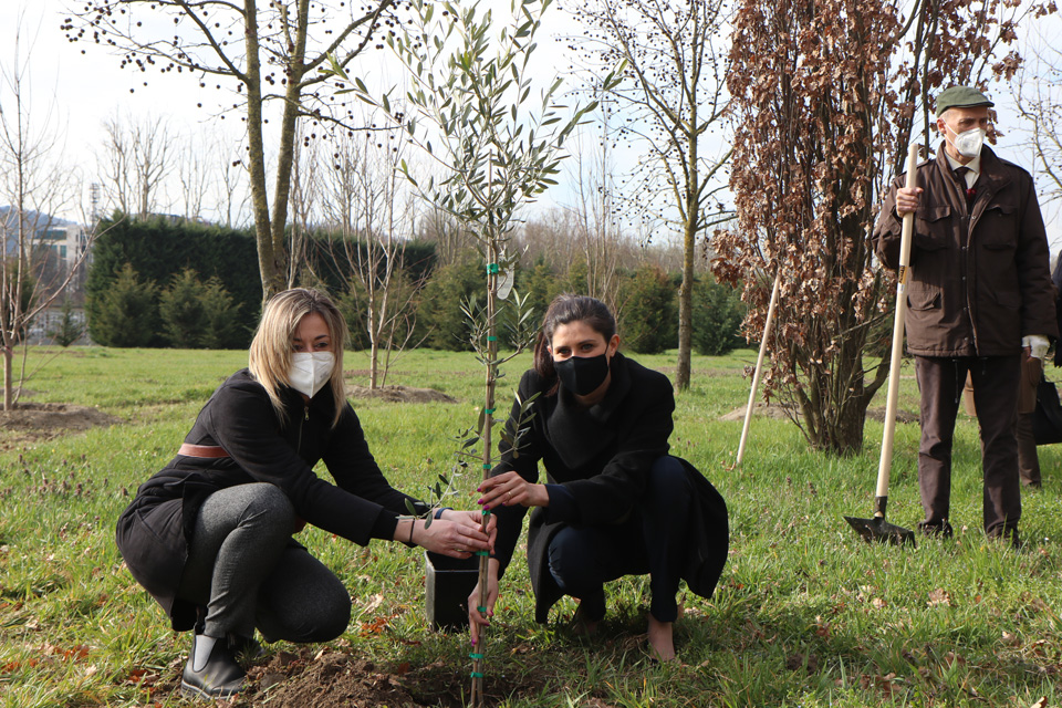 Covid: un bosco al cimitero Monumentale in memoria delle vittime