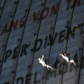 L'esibizione acrobatica di danza verticale