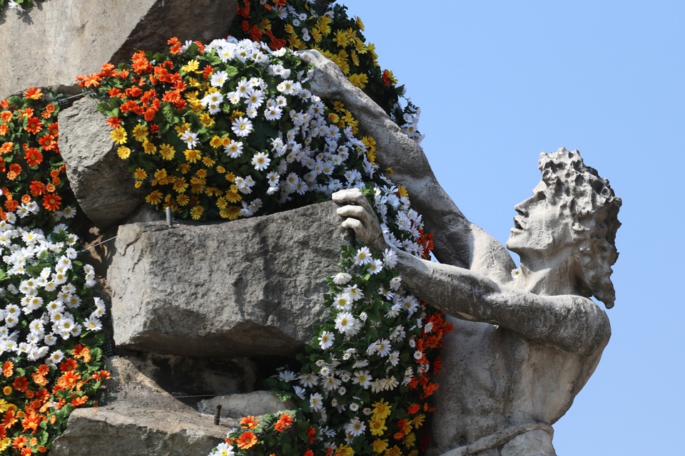 Piazza Statuto: un mantello di margherite per i 150 anni del traforo del Frejus