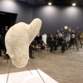 Paratissima diventa hub culturale