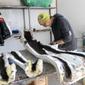 Paratissima diventa hub culturale