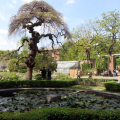 Orto Botanico