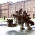 Animali a Corte. Vite mai viste nei Giardini Reali