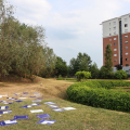 PAV -  Parco Arte Vivente