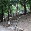 Riapre al pubblico Parco Michelotti