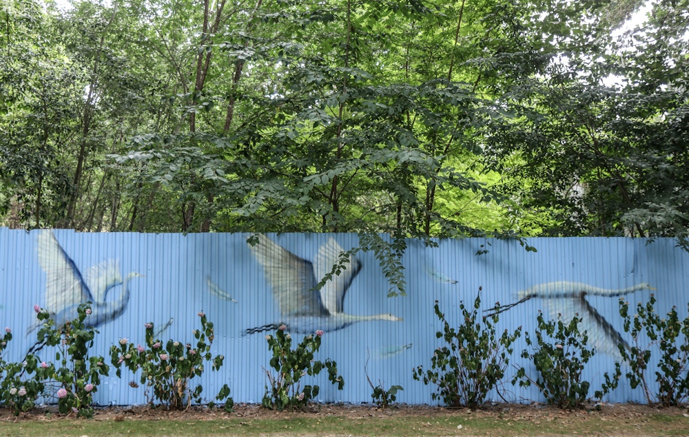 Ethological Art, Hall of Fame - L'Arte Urbana anima l'ex Zoo di Torino