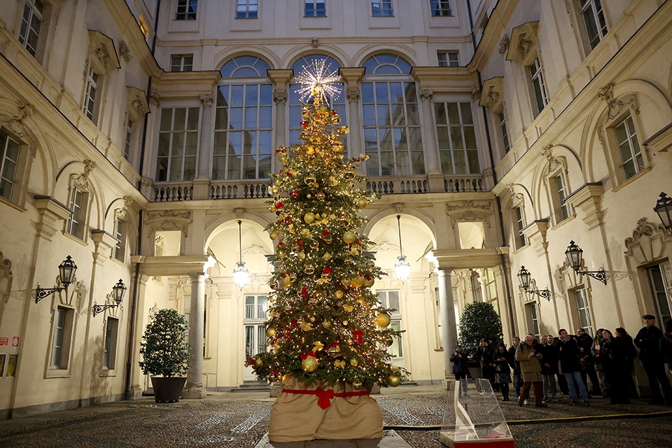 Inaugurato L'Albero di Natale nel Cortile d'Onore di Palazzo Civico